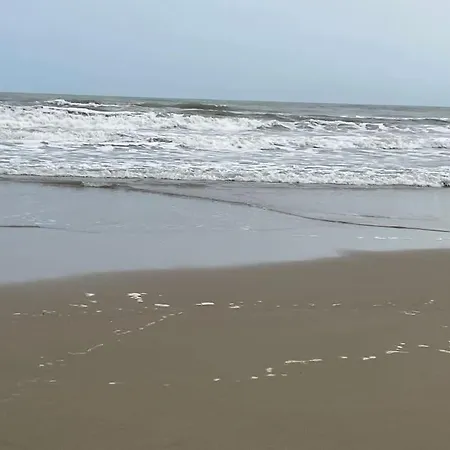 : Super De Qualite Lägenhet